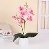 Xiyin Venta Caliente 7 Telas de Seda Phalaenopsis Planta Artificial en Maceta Decoración para el Hogar y la Oficina Planta Pequeña en Maceta Fotografía Flor Bonsái