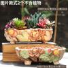 Vaso grande de cerâmica para suculentas, vaso grande de cerâmica criativo simples com grande diâmetro para plantas suculentas, vaso de patchwork com liquidação especial