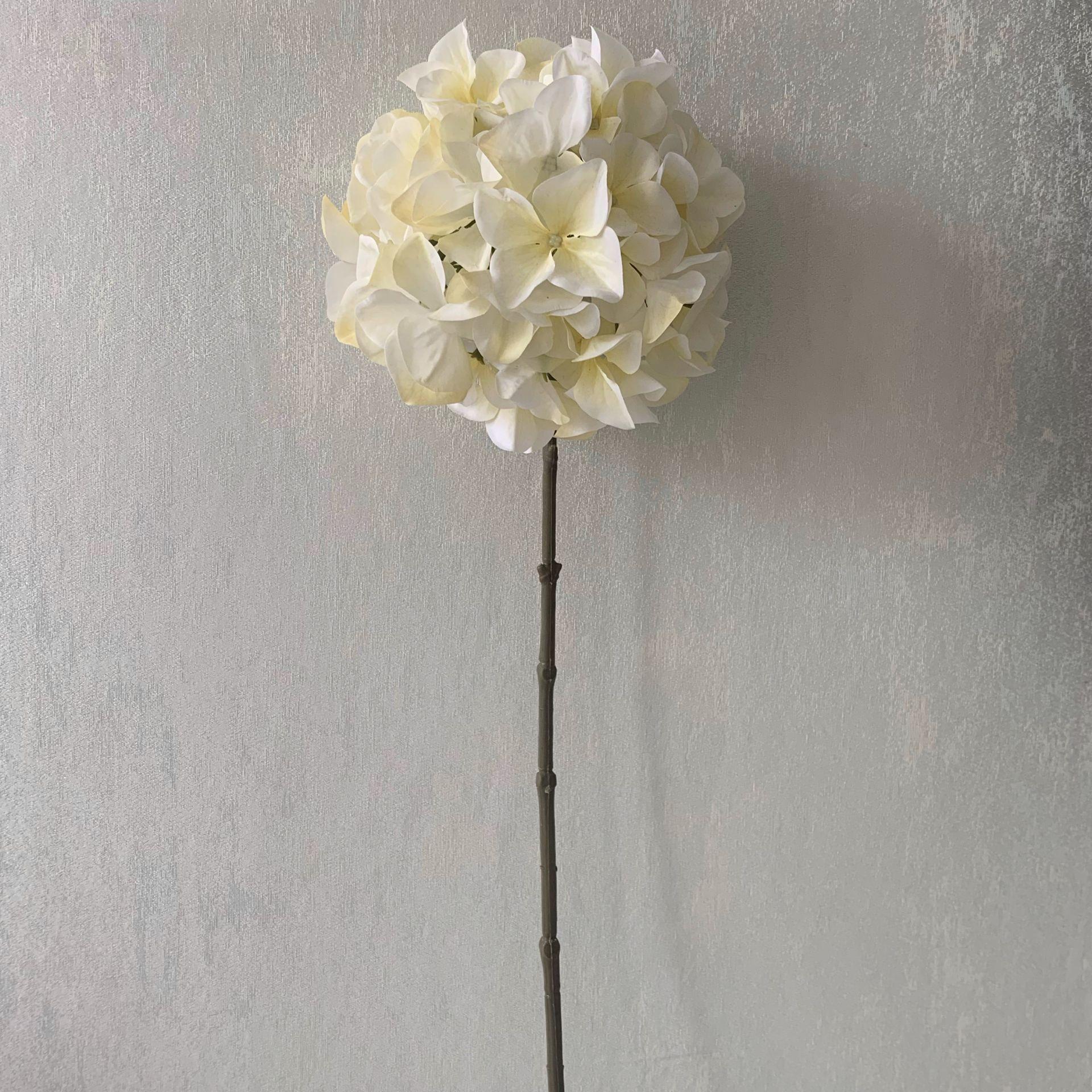 QQ图片20200426122206