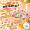 Bolas redondas de gashapon de 45 mm, juguetes de puesto callejero, muñecas transparentes para niños, cajas sorpresa, máquinas de gashapon de un yuan, venta al por mayor de regalos pequeños