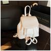 Bolso Pequeño de Moda Transfronterizo para Mujer Verano 2026 Nuevo Estilo Versátil Diseño Elegante Mochila de Viaje de Alta Calidad