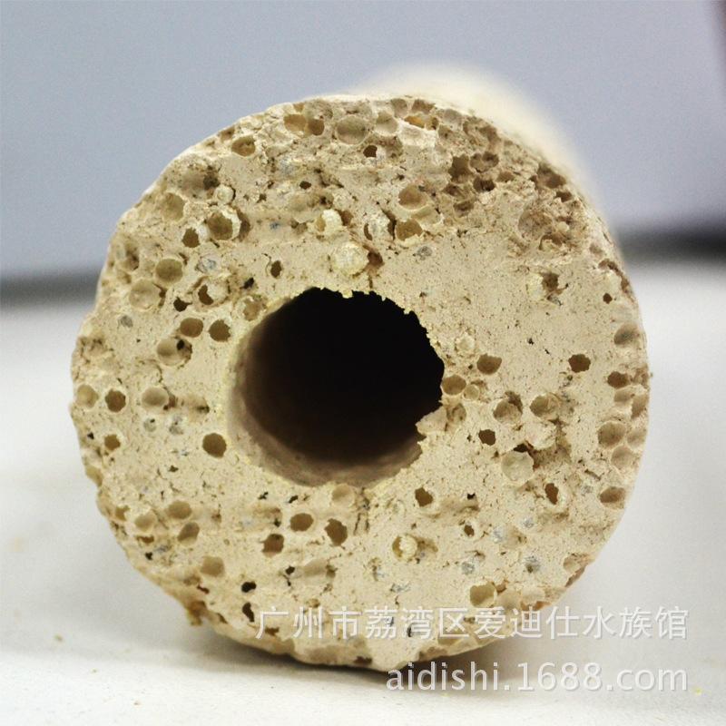 龙泰-1