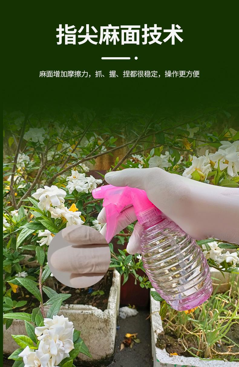 乳胶手套