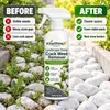 KineShineX Spray Herbicida para Grietas de Piedra de Paisaje 120ML, un herbicida para eliminar malas hierbas de los huecos entre las piedras del jardín