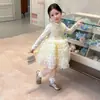 Conjunto de Vestido para Meninas Primavera e Outono Novo 2026 Estilo Coreano Bebê Menina Vestido Bolo Camélia Vestido Princesa