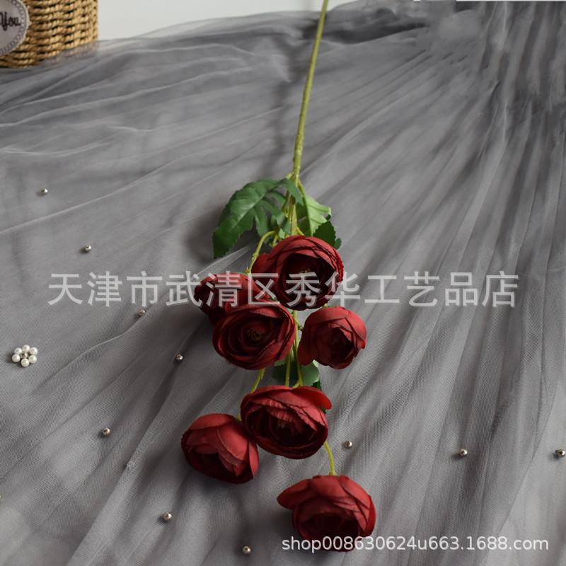 7头茶玫红色