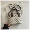 Bolsos de nicho transfronterizos para mujer, nuevo bolso de hombro tipo cubo de lunares de moda otoño 2026, bolso cruzado para el día a día