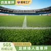 Alfombra de Césped Personalizada al por Mayor, Gimnasio, Sala de Deportes, Campo de Fútbol Fabricantes Alfombra de Planta Verde al por Mayor Cuero Césped Artificial Simulado