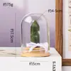 Columna de Cristal Natural Transfronteriza Flor Eterna Adorno de Tapa de Vidrio Prisma Hexagonal de Cristal Hecho a Mano DIY Flor Seca Regalo Creativo