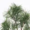 Rama de Pino Sintética Aguja de Pino Podocarpus Falso Pino de Bienvenida Hojas de Pino de Plástico Árbol de Pino de Plástico Belleza Pino Pino Negro Paisajismo Hojas de Árbol Falsas