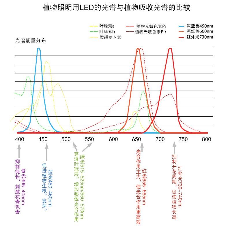 植物吸收光谱.jpg