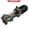 Bomba Vertical para Máquina-Ferramenta Wuodor Wl-20E-200 Aço Inoxidável Bomba Inferior de Líquido Circulante 1.5Kw Bomba de Água de Alta Temperatura
