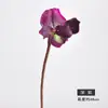 Orquídea de Bolso Flor Artificial Planta Única de Interior em Vaso Ornamentos Decorativos Acessórios de Buquê de Alta Gama Fotografia de Casamento Orquídea de Bolso Simulada