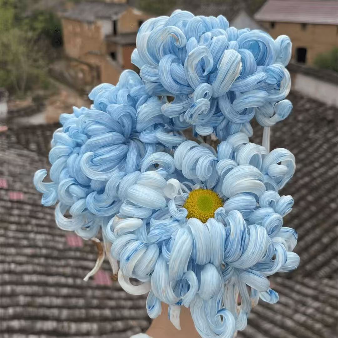 8ec76eba3c868ffdac81dc916108ef