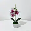 Planta en maceta de Phalaenopsis artificial transfronteriza con flores Decoración de escritorio Flor falsa de plástico Bonsái Fotografía Adornos para maceta Cabeza de flor