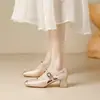 2026 Primavera/Verano Nuevo Diseño de Nicho de Comercio Exterior Zapatos de Tacón Alto Mary Jane para Mujer Punta Cuadrada Tacón Grueso Correa Única Transfronterizo
