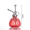 Regador de abóbora europeu de cor para atacado regador spray regador de jardinagem vintage regador de vidro regador de flor regador pequeno