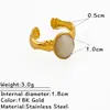 Anillo de Acero de Titanio de Moda Europeo y Americano Incrustado con Piedra Natural Diseño de Lujo Nicho Accesible Anillo de Acero Inoxidable de Gama Alta para Mujer Que No Se Desvanece