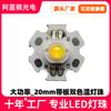 Lámpara LED de alta potencia de 1 W y 3 W, color blanco cálido positivo, doble temperatura de color, con cuentas de lámpara de placa, 2 cuentas de lámpara LED de 3 W de imitación de lúmenes, alto brillo