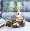 Vaso de vidro reto transparente grande atacado sala de estar chão flores de bambu ricas arranjo de flores hidropônico flor estilo ins
