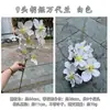 Fabricante de Flores de Ano Novo Orquídea Phalaenopsis de 9 Hastes Balde da Fortuna Balde Abraço Decoração de Casamento Casa Flores Artificiais Atacado