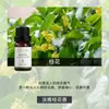 Fabricante de Fuente de Aromaterapia Aceite Esencial de Aromaterapia Soluble en Agua 10 ml Fragancia Vegetal L Difusor Ambientador Máquina de Aromaterapia Aceite Esencial