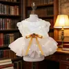 Falda para Mascota Vestido de Gasa Estilo Primavera y Verano para Perros Bichón, Teddy, Pomerania y Gatos, Vestido de Novia Dorado Ropa Estilo Princesa