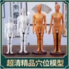 Modelo de Meridianos Médicos Modelo Humano Maniquim Modelo Humano Ultra-Claro de Pontos de Acupuntura Boneca Pele de Silicone Macia para Prática Diagrama