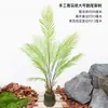 Árvore de Samambaia Artificial em Vaso Samambaia Persa Planta Verde Série Floresta Planta de Floresta Tropical Chifre Combinando Paisagem Ornatos Falsos de Girassol para Espalhar