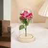 Ramo de Flores Eternas de Rosa Transfronterizo en Cúpula de Cristal, Caja de Regalo para el Día de San Valentín, Producto Terminado, Regalo de Navidad para el Día de la Madre