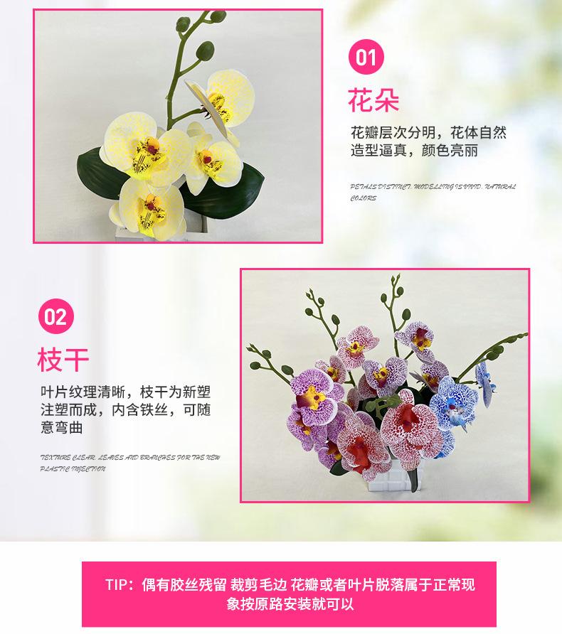 产品细节.jpg