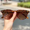 Óculos de Sol Novo Estilo, Óculos de Sol Versáteis, Óculos de Sol Studded Retrô Populares, Óculos Universais de Festa Femininos, Atacado Transfronteiriço