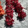Simulación de flores de boda, venta al por mayor, 2 tenedores, jacinto, champán, delphinium, boda, camino, fondo, decoración, flor falsa