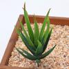 Planta Suculenta Mini Atacado Cabeça de Flor Artificial Pequenos Acessórios para Arranjo de Flores Suculenta Falsa Flor de Plástico Planta Decorativa Planta em Vaso