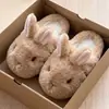 2026 Venta Caliente Casa de Ratón de Peluche Linda y Divertida Zapatillas Esenciales Pies Suaves y Cálidos Sanación Lindas Zapatillas de Interior