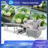 Máquina Embaladora Automática de Vegetais Folhas Verdes Embaladora para Sacos de Vegetais Embaladora para Embalagens Tipo Travesseiro para Frutas e Vegetais Frescos Vegetais para Bebês