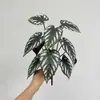 Planta en Maceta de Hoja de Begonia Simulada, Impresa en 3D, Decoración de Planta Verde Simulada para el Hogar, Venta Directa del Fabricante