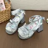 Sapatos Mary Jane Lolita Fofos Doces Bico Redondo Lolita Laço Sapatos Baixos Salto Alto Meninas Renda Bufante