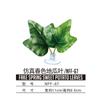 Nomo Varios Tipos de Paisajismo Decorativo Plantas Artificiales Lagarto Camaleón Serpiente Reptil Alimentación Agua Hojas con Ventosa Peces