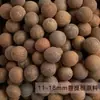 Jade Blanco Raíz de Bodhi Semilla Original Semilla Grande de Bodhi Fruto de Ginkgo Talla Diámetro 11-30 mm Raíz de Bodhi Fruta Grande Materia Prima