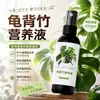 Solução nutritiva específica para planta Monstera para cultivo hidropônico, previne o amarelamento das folhas, o enrolamento e a podridão das raízes, não requer diluição, solução nutritiva universal