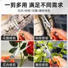 Tesoura para Colheita de Frutas Cpai, Tesoura para Poda de Frutas, Tesoura de Jardinagem, Tesoura para Poda de Flores, Tesoura para Frutas e Legumes, Ferramenta para Colheita de Frutas, Ferramenta de Colheita, Tesoura