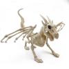 Decorações de esqueleto de Halloween Gato Dragão Aranha ornamentos de osso de esqueleto animal de plástico layout de esqueleto adereços
