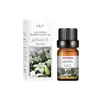Óleo Essencial de Aromaterapia Solúvel em Água Aroma de Lavanda Purificador de Ar Casa Aromaterapia Sem Chama Líquido de Recarga