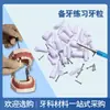 Dental 28 Partículas de Diente Simuladas Resina Material de Diente Suelto Diente con Pulpa Abierta Consumibles Bucales Modelo de Preparación Dental Práctica de Examen