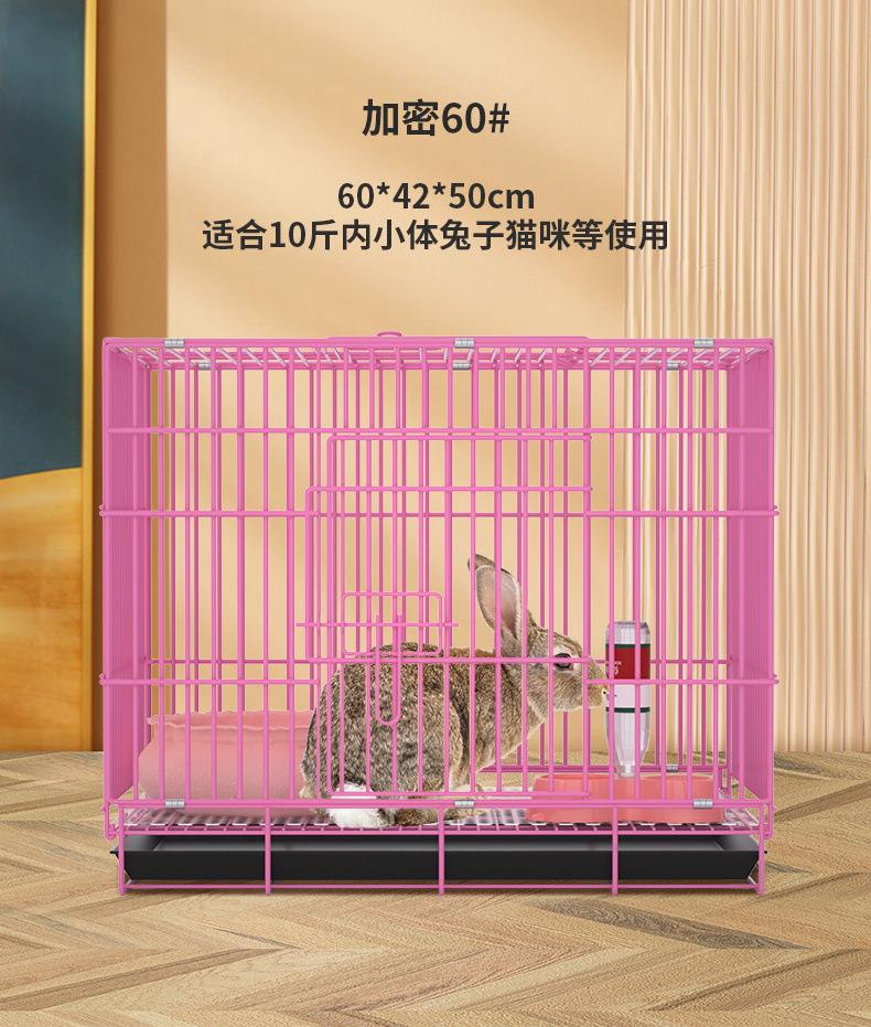 e82d7670-49e9-4445-992d-7bcbab36e89e.jpe