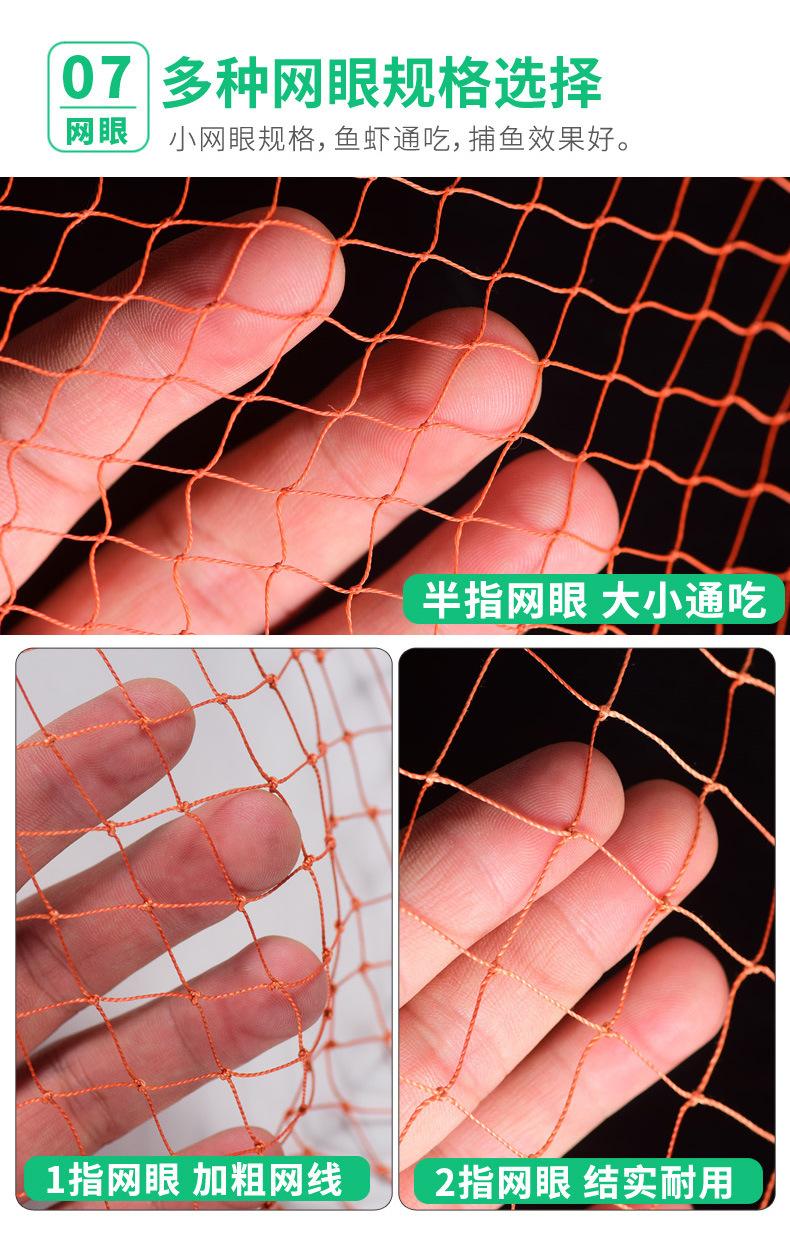 渔网_10(1)