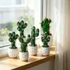 Flores Artificiales Plantas Tropicales Cactus Mini Plantas en Maceta Pequeñas Suculentas Artificiales Fabricante Suministro Directo Dropshipping Transfronterizo