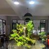 Plantas aquáticas de espectro completo preenchem lâmpada led tanque de peixes explosão algas crescimento imitação sol flores internas musgo parede