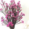 Flores secas características de Yunnan atacado flores de milheto imortal atacado buquê acessórios florais feito à mão DIY flores de milheto imortal